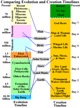 Timeline