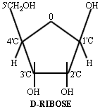 D-Ribose