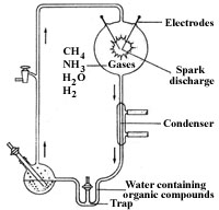 apparatus