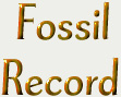 Evolution the Challenge of the Fossil Record