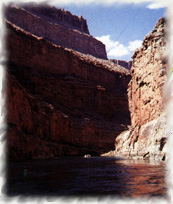 The Grand Canyon: Monument to the Flood